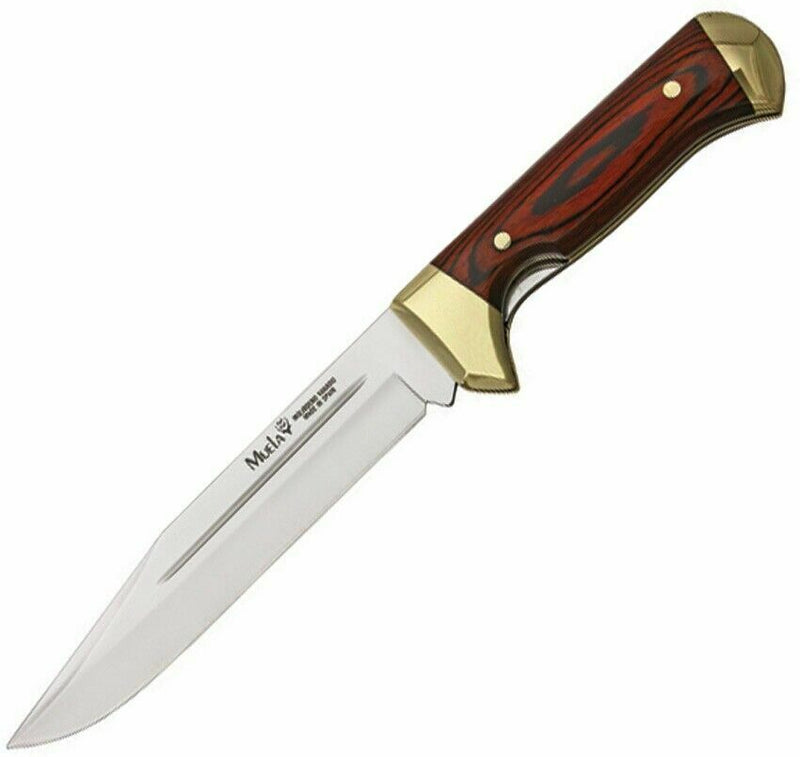 Muela Bowie Folding Knife 7" Stainless Steel Blade Coral Wood Handle w/Brass Guard 93150 -Muela - Survivor Hand Precision Knives & Outdoor Gear Store