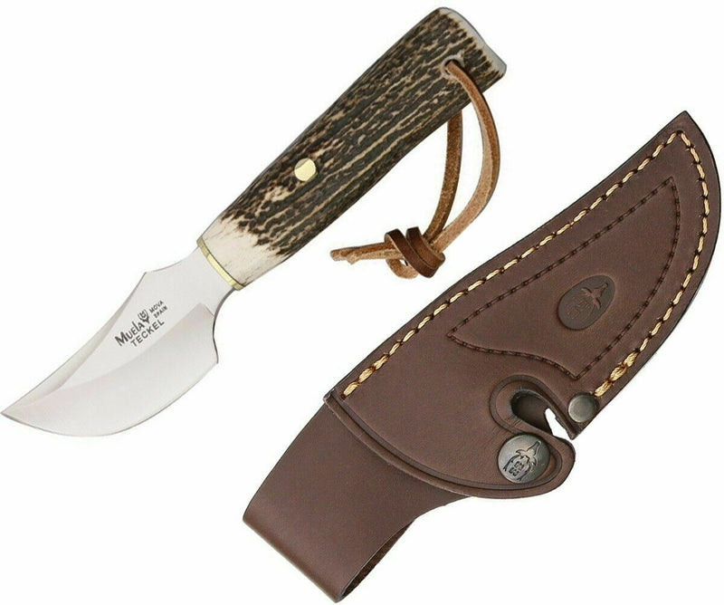 Muela Teckel Fixed Knife 3" Stainless Steel Blade Round Design Stag Handle 90852 -Muela - Survivor Hand Precision Knives & Outdoor Gear Store