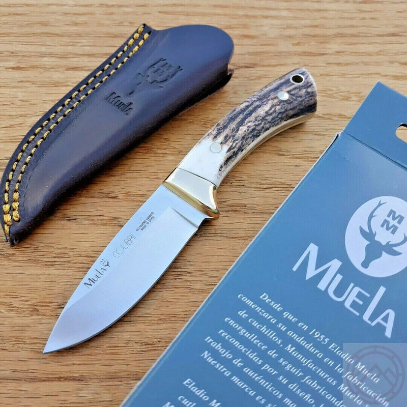 Muela Colibri Fixed Knife 2.75" 440C Steel Full Tang Blade Stag Handle Brass Guard 92340 -Muela - Survivor Hand Precision Knives & Outdoor Gear Store