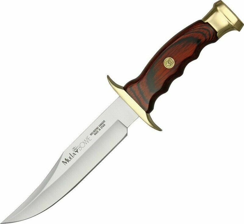 Muela Bowie Fixed Knife 6.12" Stainless Steel Blade Cocobolo Wood/Brass Handle BW16 -Muela - Survivor Hand Precision Knives & Outdoor Gear Store