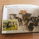 Pocket Guide to Wild Mushrooms Book Symbols Photos Cleaning Preserving Cooking 400 -Books - Survivor Hand Precision Knives & Outdoor Gear Store