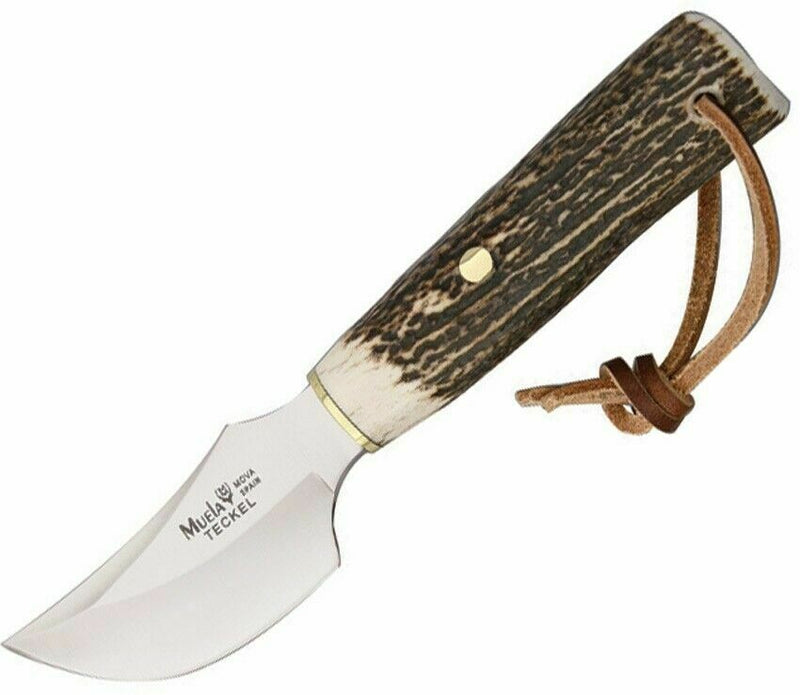 Muela Teckel Fixed Knife 3" Stainless Steel Blade Round Design Stag Handle 90852 -Muela - Survivor Hand Precision Knives & Outdoor Gear Store