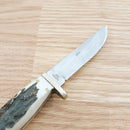 Frost Cutlery Fixed Knife 4" Stainless Steel Blade Stag Bone Resin/Nickel Silver Guard/Aluminum Pommel Handle W600SBR -Frost Cutlery - Survivor Hand Precision Knives & Outdoor Gear Store