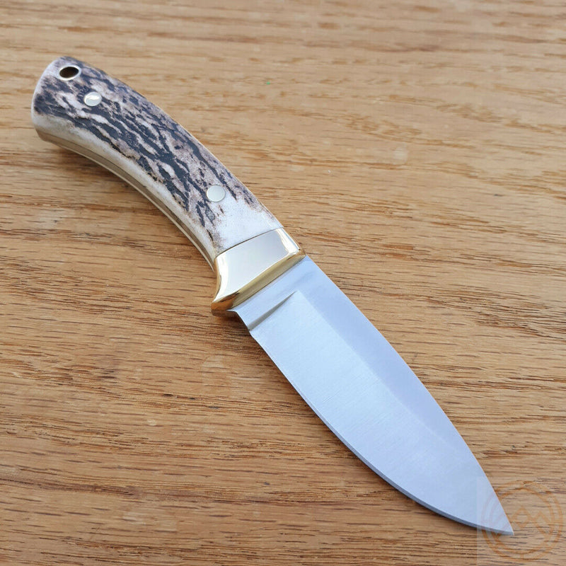 Muela Colibri Fixed Knife 2.75" 440C Steel Full Tang Blade Stag Handle Brass Guard 92340 -Muela - Survivor Hand Precision Knives & Outdoor Gear Store