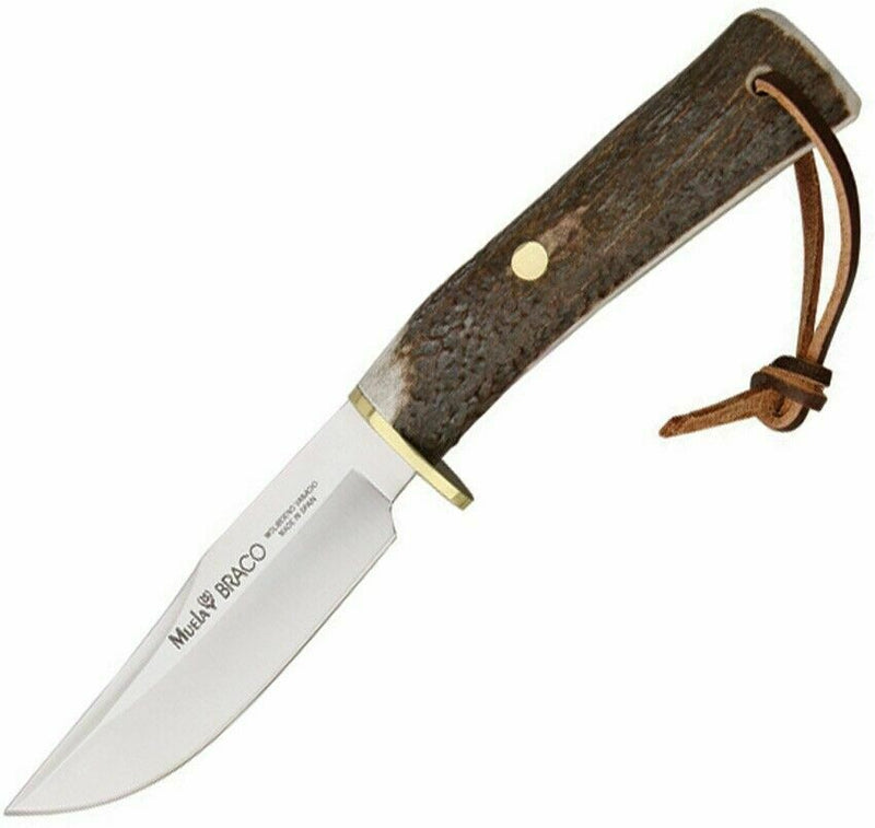 Muela Braco Fixed Knife 4.125" 440A Steel Blade Stag Handle w/Brown Belt Sheath 90854 -Muela - Survivor Hand Precision Knives & Outdoor Gear Store