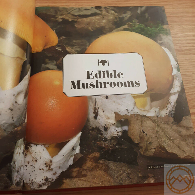 Ultimate Guide To Mushrooms Book With Quick Easy Recipes Identifying 200+ Species 423 -Books - Survivor Hand Precision Knives & Outdoor Gear Store