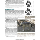 The Ultimate Guide To Hiking Book Advice On Best Gear Campsite Wildlife Forecast 465 -Books - Survivor Hand Precision Knives & Outdoor Gear Store