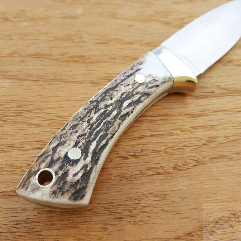 Muela Colibri Fixed Knife 2.75" 440C Steel Full Tang Blade Stag Handle Brass Guard 92340 -Muela - Survivor Hand Precision Knives & Outdoor Gear Store