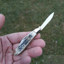 Frost Cutlery Peanut Pocket Knife Satin Finish Stainless Steel Blades Gray Bone Handle W107GY20 -Frost Cutlery - Survivor Hand Precision Knives & Outdoor Gear Store