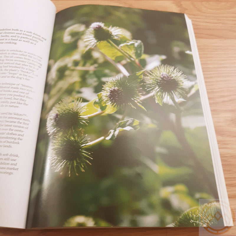 Backyard Medicine Book Harvest D.I.Y. Herbal Remedies With 300 Color Photos Health 253 -Books - Survivor Hand Precision Knives & Outdoor Gear Store