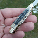 Frost Cutlery Peanut Pocket Knife Satin Finish Stainless Steel Blades Gray Bone Handle W107GY20 -Frost Cutlery - Survivor Hand Precision Knives & Outdoor Gear Store