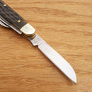 Hen & Rooster Congress Pocket Knife Stainless Steel Blades Green Jigged Bone Handle 214AGB -Hen & Rooster - Survivor Hand Precision Knives & Outdoor Gear Store