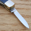 Frost Cutlery Baby Diamond Pocket Knife Stainless Steel Blades Blue Jigged Bone Handle 14632BJB -Frost Cutlery - Survivor Hand Precision Knives & Outdoor Gear Store