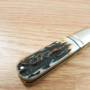 Rough Ryder Barlow Cinnamon Folding Knife Carbon Steel Blade Bone Stag Handle 2429 -Rough Ryder - Survivor Hand Precision Knives & Outdoor Gear Store