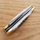 Fox-N-Hound Trapper Pocket Knife Damascus Steel Clip And Spey Blades Bone Handle 614 -Fox-N-Hound - Survivor Hand Precision Knives & Outdoor Gear Store