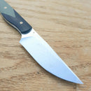 Bestech HEIDI Fixed Knife 3.13" Satin Finish D2 Tool Steel Full Tang Blade G10 Handle F01A -Bestech Knives - Survivor Hand Precision Knives & Outdoor Gear Store