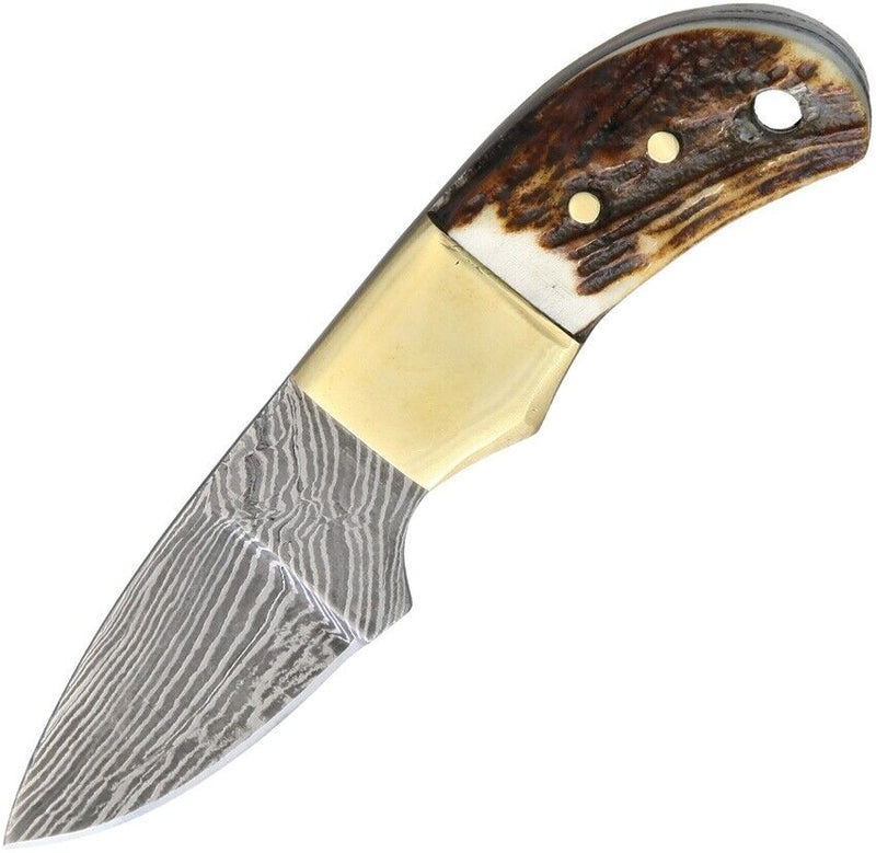 Fox-N-Hound Mini Skinner Fixed Knife 1.75" Damascus Steel Blade Stag Bone Handle 121 -Fox-N-Hound - Survivor Hand Precision Knives & Outdoor Gear Store