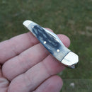 Frost Cutlery Peanut Pocket Knife Satin Finish Stainless Steel Blades Gray Bone Handle W107GY20 -Frost Cutlery - Survivor Hand Precision Knives & Outdoor Gear Store