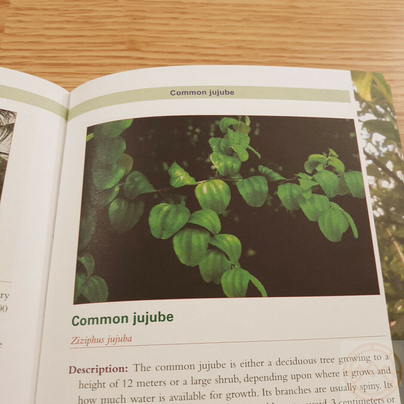 Complete Guide To Edible Wild Plants Book Army Department Medicine And Poison Plus Color Photos 182 -Books - Survivor Hand Precision Knives & Outdoor Gear Store