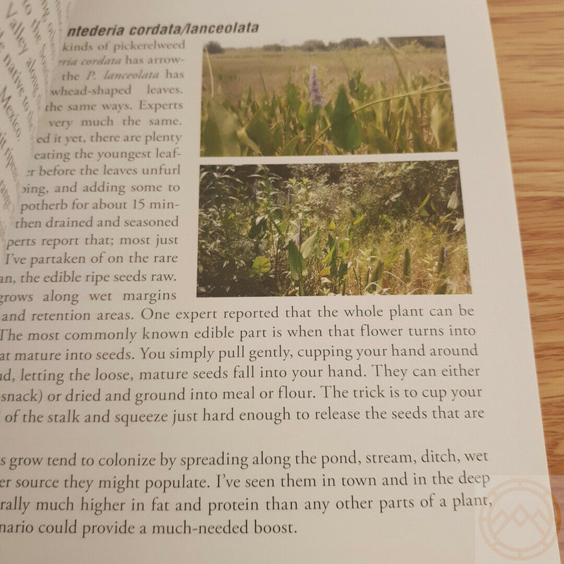 Foraging For Survival Book Techniques Edible Bugs Grubs Poison Paperback 195pg 414 -Books - Survivor Hand Precision Knives & Outdoor Gear Store