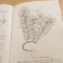 Survival Book By HQ Army Department First Aid Travelling Water Food Firemaking With 288 Page Paperback 201 -Books - Survivor Hand Precision Knives & Outdoor Gear Store