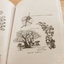 Survival Book By HQ Army Department First Aid Travelling Water Food Firemaking With 288 Page Paperback 201 -Books - Survivor Hand Precision Knives & Outdoor Gear Store