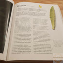 Big Book Of Backyard Medicine Ultimate Guide Herbal Remedies 100 Recipes 445 Pg 411 -Books - Survivor Hand Precision Knives & Outdoor Gear Store