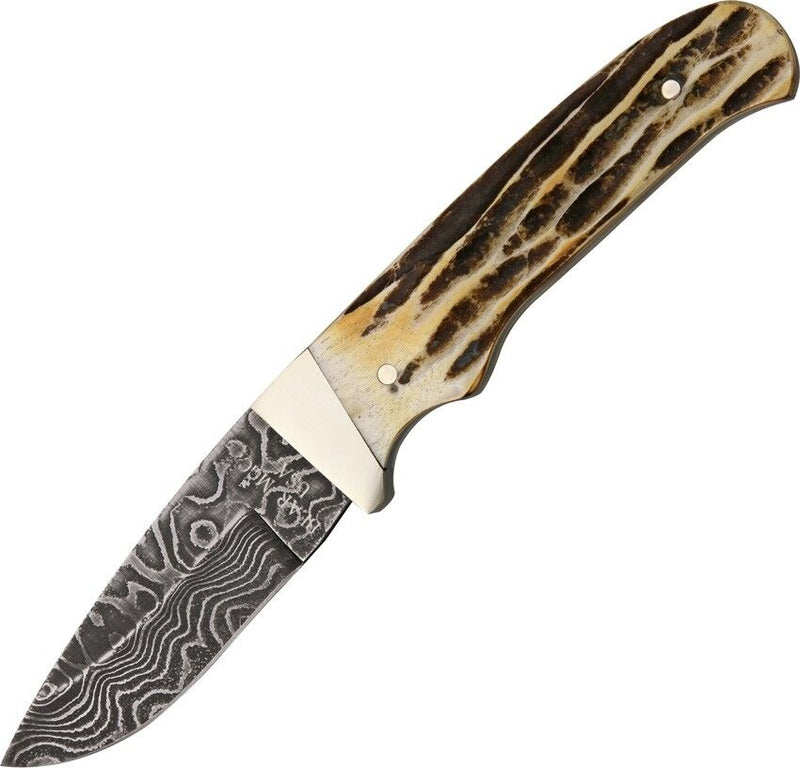 Bear & Son Fixed Knife 2.75" Damascus Steel Drop Point Skinner Blade Genuine India Stag Bone Handle 548D -Bear & Son - Survivor Hand Precision Knives & Outdoor Gear Store