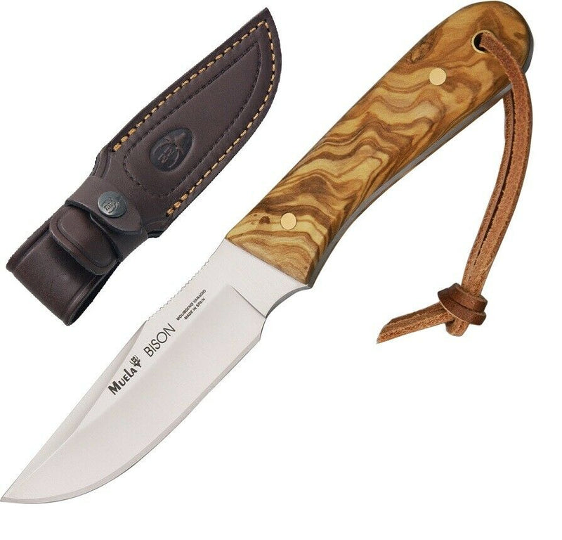 Muela Bison Fixed Knife 3.5" 440C Steel Full Tang Blade Olive Wood Handle 91779 -Muela - Survivor Hand Precision Knives & Outdoor Gear Store