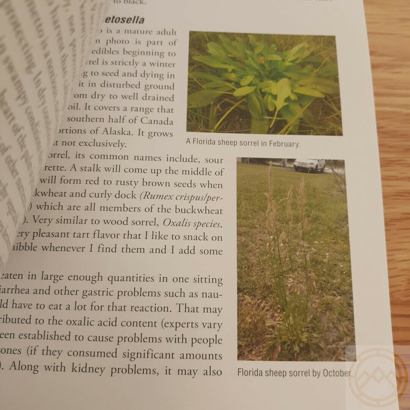 Foraging For Survival Book Techniques Edible Bugs Grubs Poison Paperback 195pg 414 -Books - Survivor Hand Precision Knives & Outdoor Gear Store