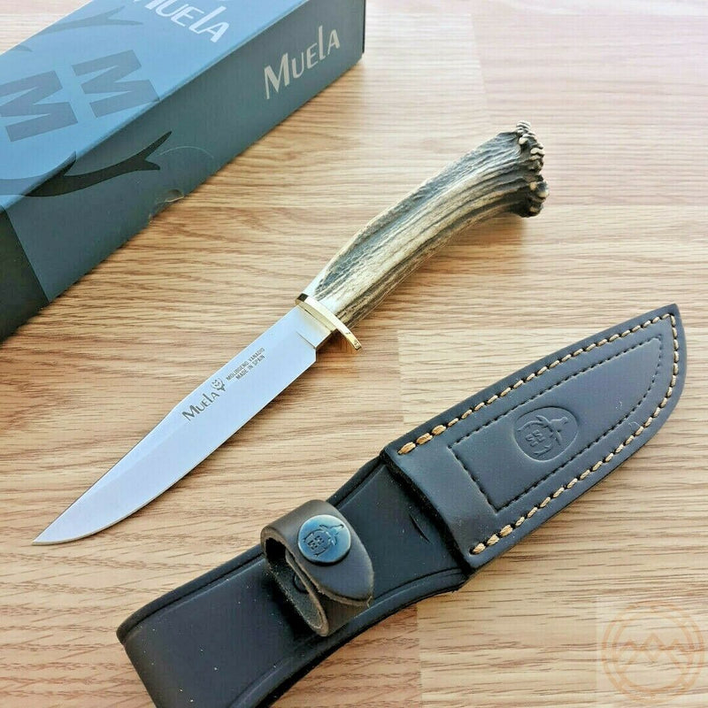 Muela Hunter Fixed Knife 4.75" Stainless Steel Blade Crown Stag Handle G12S -Muela - Survivor Hand Precision Knives & Outdoor Gear Store