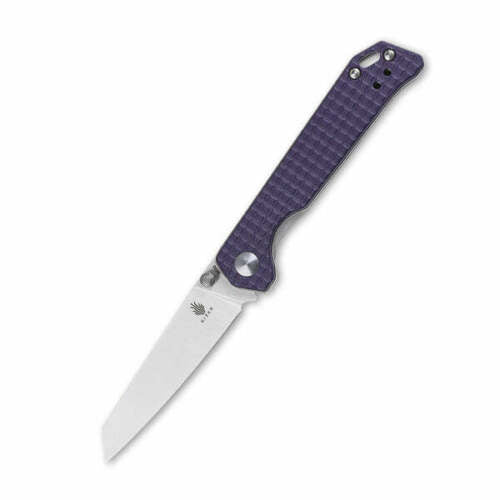 Kizer Cutlery Mini Begleiter Folding Knife 3" N690 Steel Blade Purple G10 Handle V3458RN6 -Kizer Cutlery - Survivor Hand Precision Knives & Outdoor Gear Store