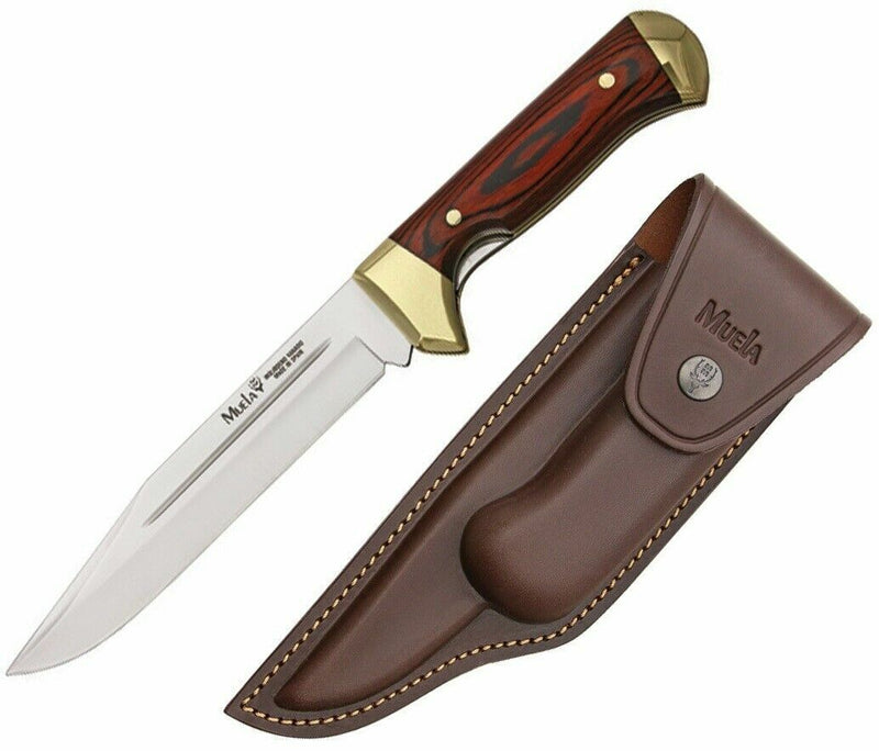 Muela Bowie Folding Knife 7" Stainless Steel Blade Coral Wood Handle w/Brass Guard 93150 -Muela - Survivor Hand Precision Knives & Outdoor Gear Store