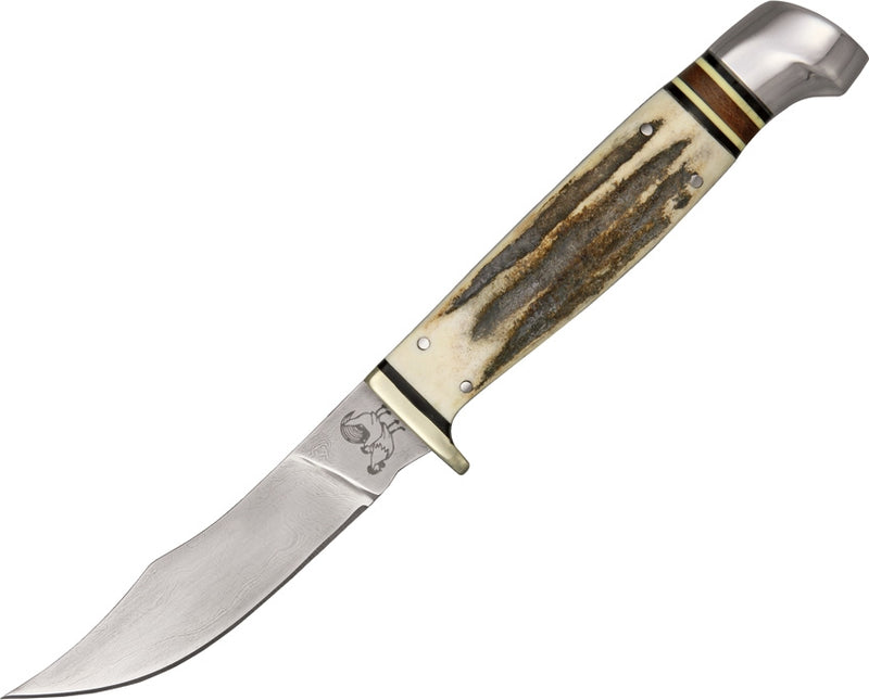 Hen & Rooster Bowie Fixed Knife 3.5" Damascus Steel Blade Stag Handle 5048DM -Hen & Rooster - Survivor Hand Precision Knives & Outdoor Gear Store